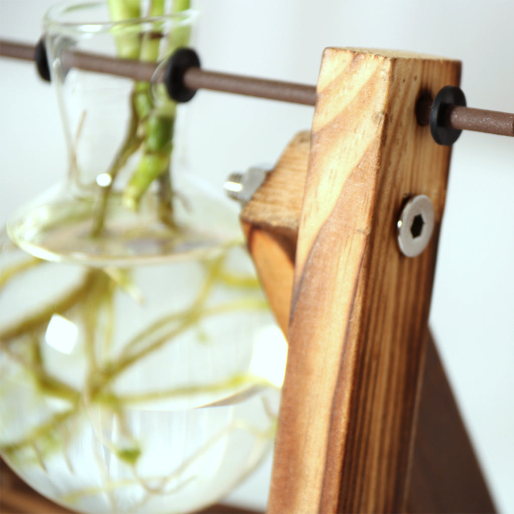 Plant Transparent Wooden Frame Vase Desktop Ornament Container