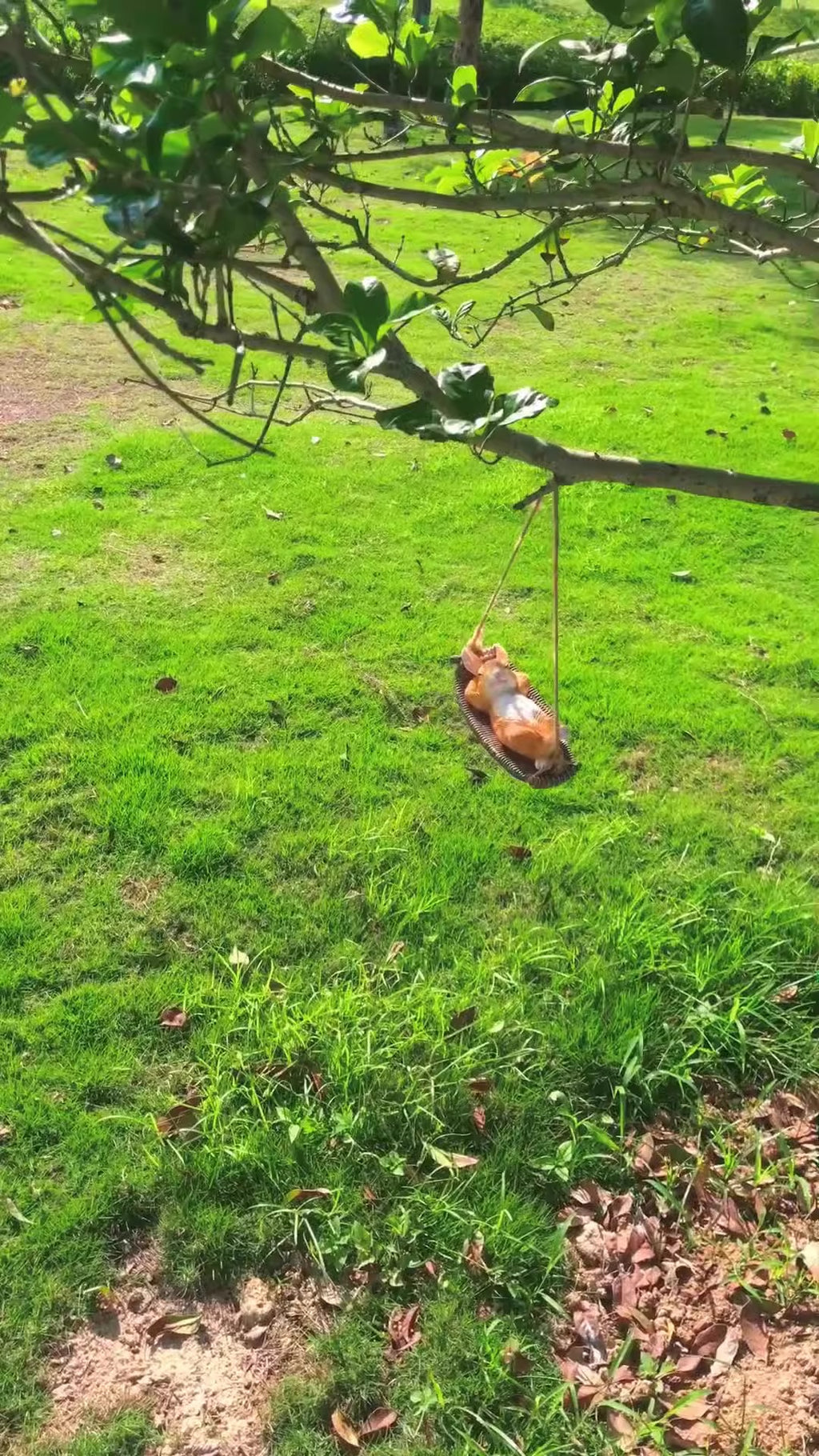 Swing Sleeping Rabbit Pendant Statue Outdoor