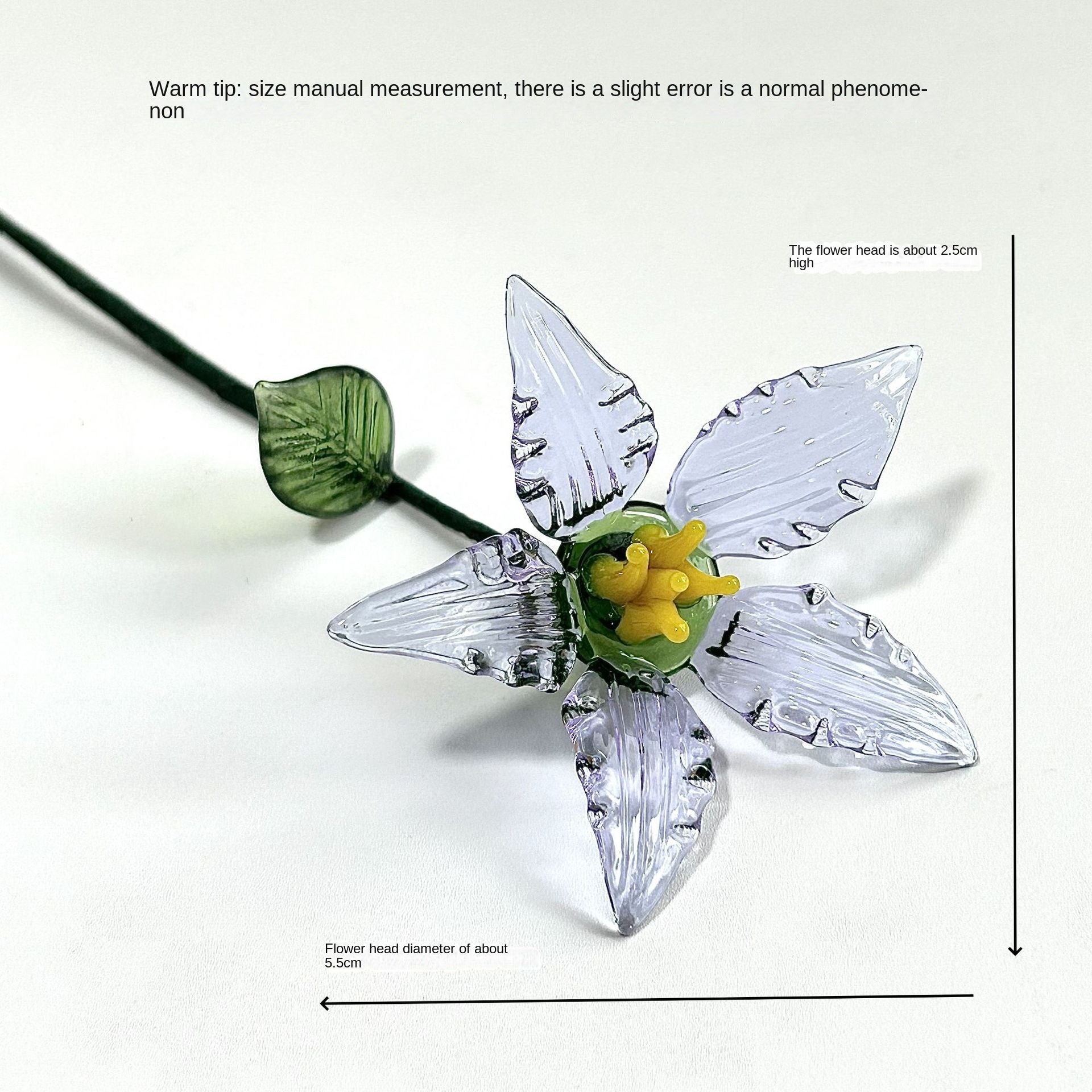 Glass Birth Flower Iron Wire Flower Iron Wire Flower Simulation Desktop Ornament Vase