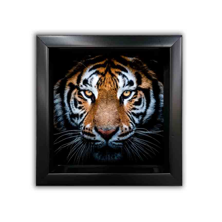 Set of 12 Framed Canvases-9