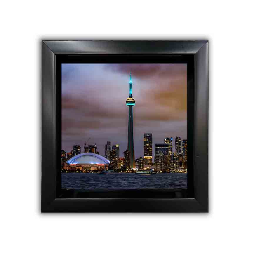 Set of 12 Framed Canvases-13