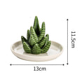 Ceramic Cactus Ring Tray Jewelry Display Stand Creative Aloe Vera Storage Tray Craft Wholesale