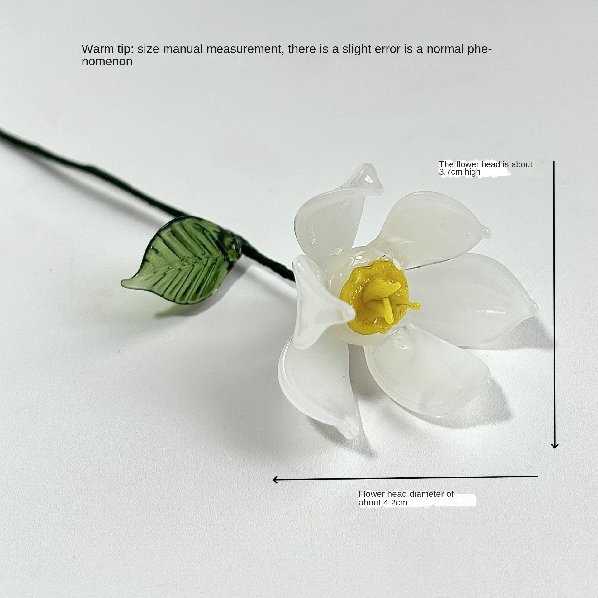 Glass Birth Flower Iron Wire Flower Iron Wire Flower Simulation Desktop Ornament Vase