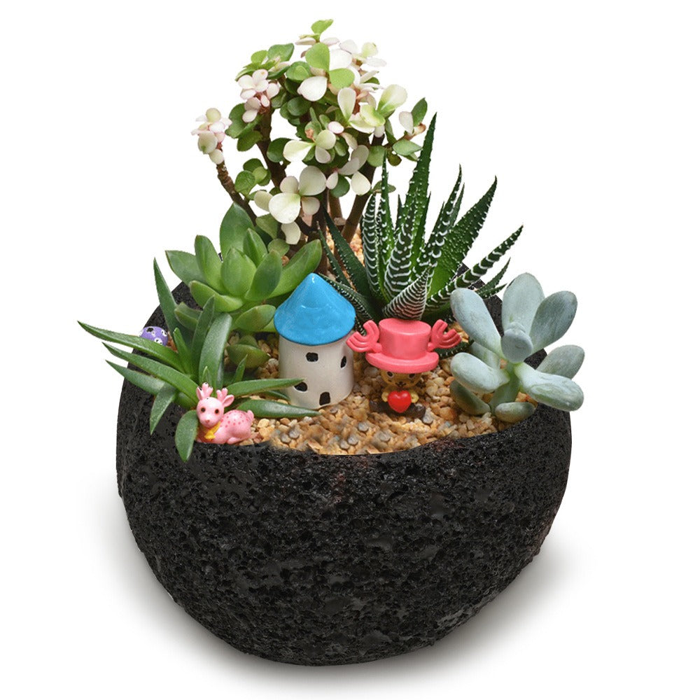 Minimalist volcanic stone potted plant ornaments
