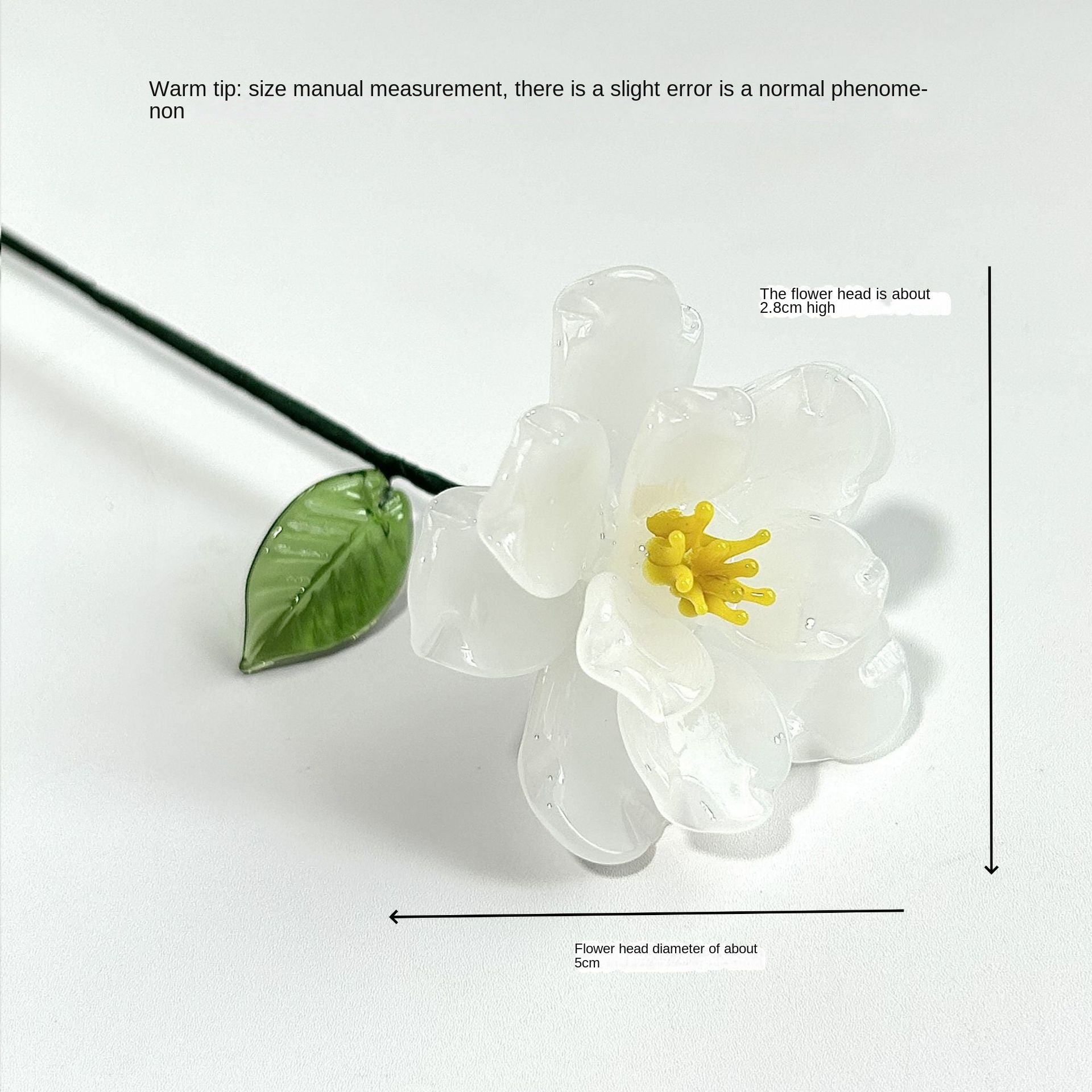 Glass Birth Flower Iron Wire Flower Iron Wire Flower Simulation Desktop Ornament Vase