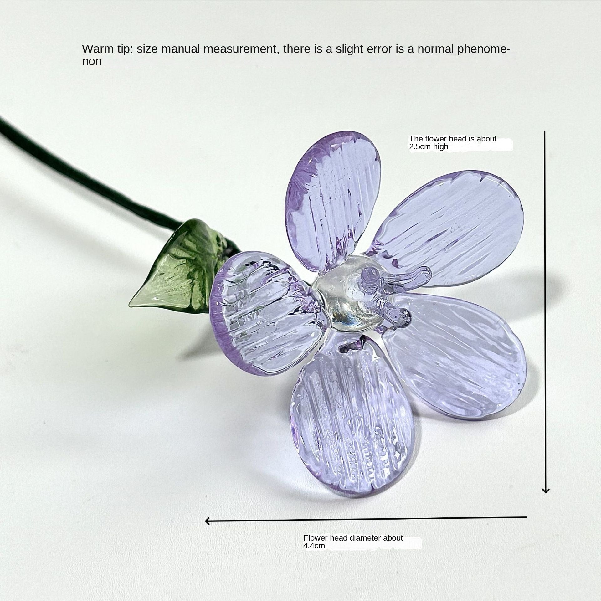 Glass Birth Flower Iron Wire Flower Iron Wire Flower Simulation Desktop Ornament Vase