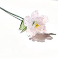 Glass Birth Flower Iron Wire Flower Iron Wire Flower Simulation Desktop Ornament Vase